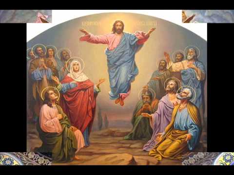 Pr. prof. dr. Stelian Tofana  -  Inaltarea Domnului si Pogorarea Sfantului Duh