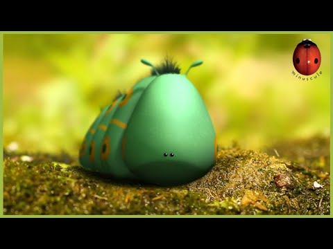 Love Apple | Minuscule 🍃 55' Compilation