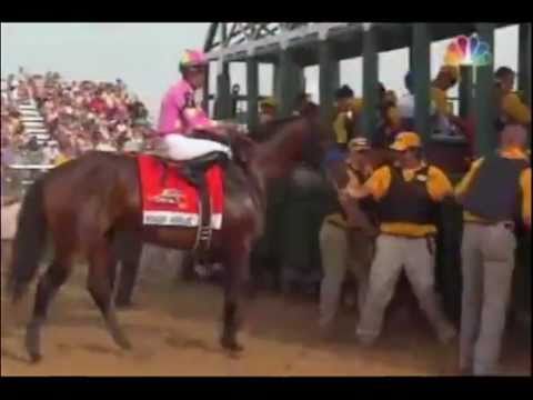 2011 Preakness Stakes 136th