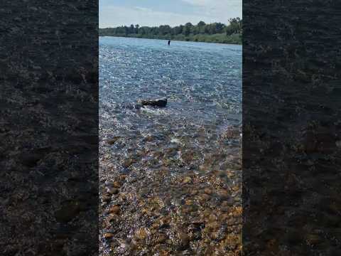 Pescaria Rio Ivaí - Guaporema, Paraná.