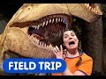 Dinosaur Discoveries! | Caitie's Classroom Field Trip | Nature Museum for Kids