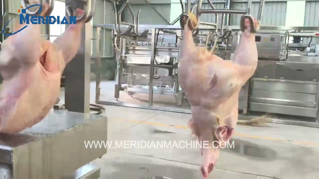 Automatic Chicken Cutting Line 1500–2500 BPH | Poultry Processing Equipment Test Run