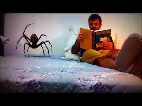 Projeto Spoiler | A saga começa em 16 de outubro de 2014.