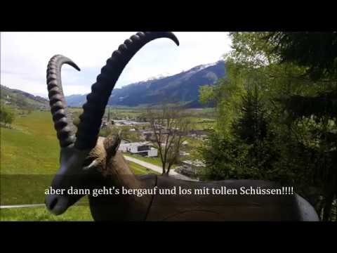 3D Bogen Parcours Test Bogendorf Stuhlfelden Mai 2017