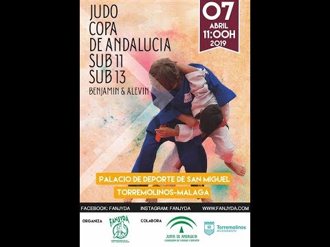 CAMARA 2: COPA DE ANDALUCIA SUB'11 (BENJAMINES) - TORREMOLINOS 2019