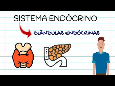 RESUMO DO SISTEMA ENDÓCRINO