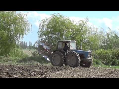 Landb  Martens   Nevele