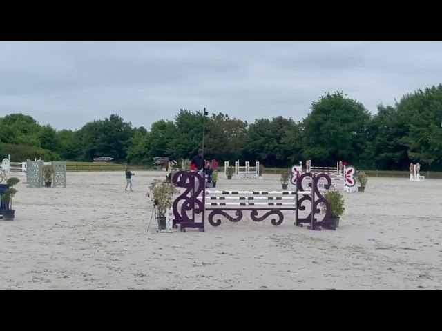 Jument Selle Français 10 ans CSO 125