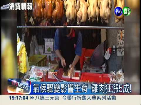 氣候驟變不下蛋! 雞肉雞蛋恐飆漲