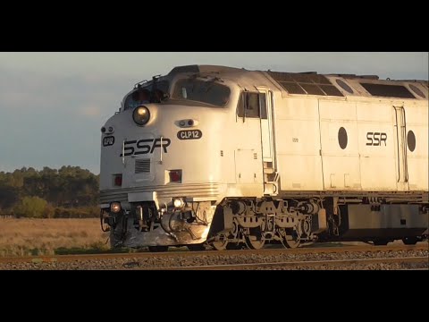 SSR CLP12 Leading SSR 4917, SSR S311 And SSR CLF3 Grain Train At Wallan!! An awesome catch!!