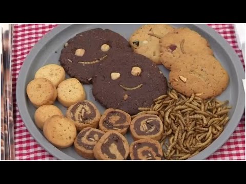 In South Korea, insects with meals no longer a rare delicacy