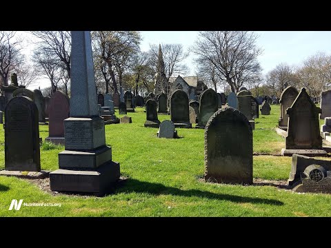 Plant Based Diets and Diabetes