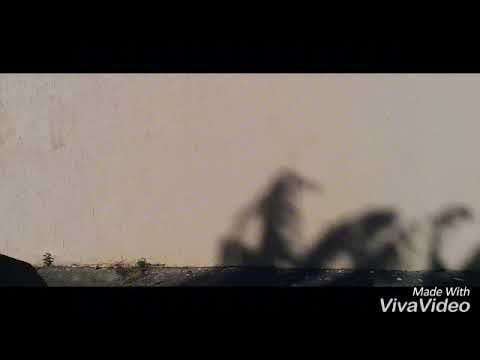 Bezinho dancy novamente Coreógrafia de Black Style trava na pica