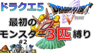 【ドラクエ5】仲間になった順モンスター3匹縛りで裏ボスエスターク撃破を目指すゲーム実況#2 にせたいこうが強すぎる【スーパーファミコン版ドラゴンクエストV】