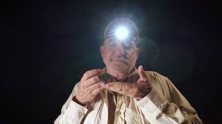 EL CIEGUITO VOLADOR - SUMO