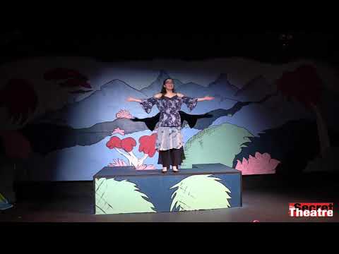 Seussical Jr. | The Secret Theatre Academy Summer Production | 2018