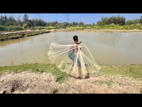 Net Fishing Video - Very Amazing Skill Cast Net Fishing In River - Best Net Fishing