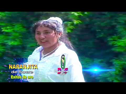 Popurri De Santiagos - Naranjita De Sucre
