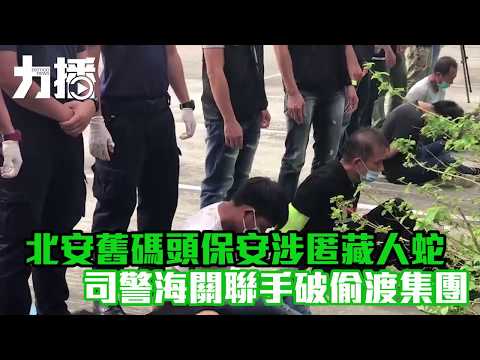 司警海關聯手破偷渡集團 司警海關聯手破偷渡集團