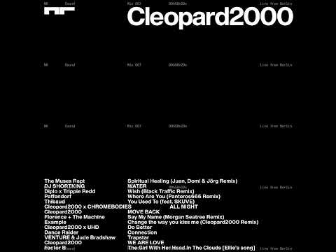 NR Sound Mix 067 CLEOPARD2000