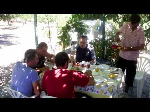 Albidona-I Cugini di(in) Campagna (south Italy)