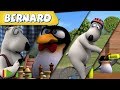 Bernard Bear Triathlon Y MÁS 50 Min Recopilación Dibujos Para Niños