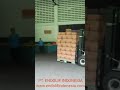 ELECTRIC FORKLIFT FE 25 SERIES 5
