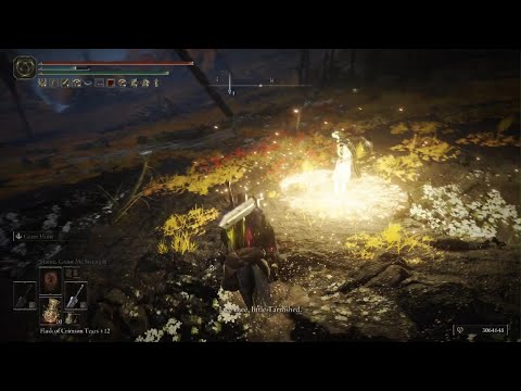 ELDEN RING_20220415141127