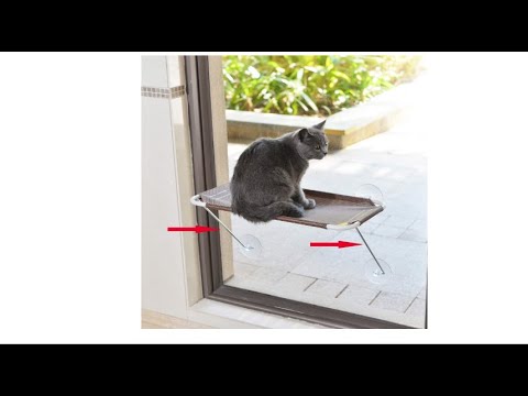 Top5:Best Cat Window Perch| for Indoor Any Cats