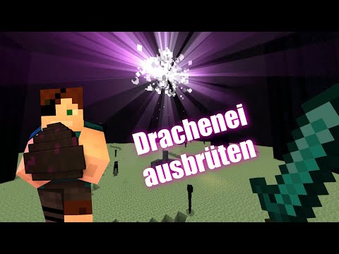 How to hatch a dragon egg in Minecraft || Here's how!