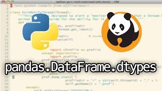 Pandas dtypes Python tutorial: pandas.Dataframe.dtypes