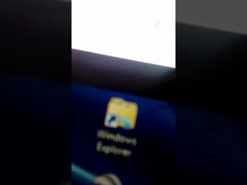 Formiga na tela do pc.