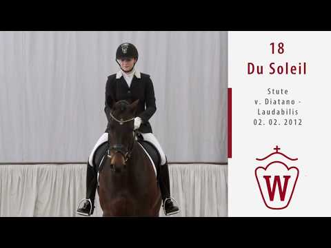 18 Du Soleil  Stute v. Diatano - Laudabilis
