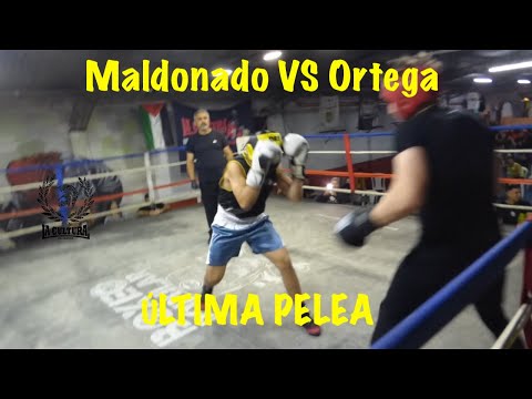 Festival Boxeo LCDB Maldonado VS Ortega ÚLTIMA PELEA