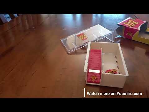 The BIG CHEESE  Mouse Trap In Action - Easy mouse trap