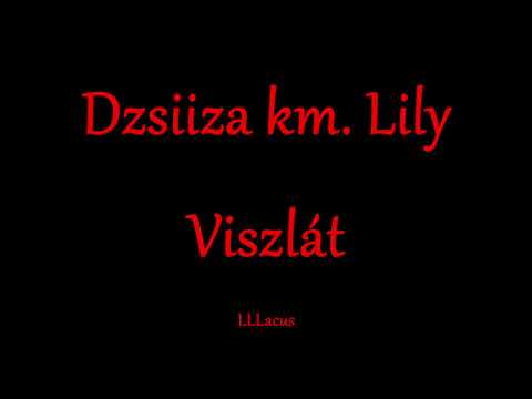 Dzsiiza km. Lily - Viszlát - Zeneszöveggel -