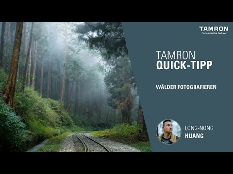 Stimmungsvolle Waldlandschaften mit dem TAMRON 20-40mm F/2.8 einfangen – TAMRON Quick Tipp
