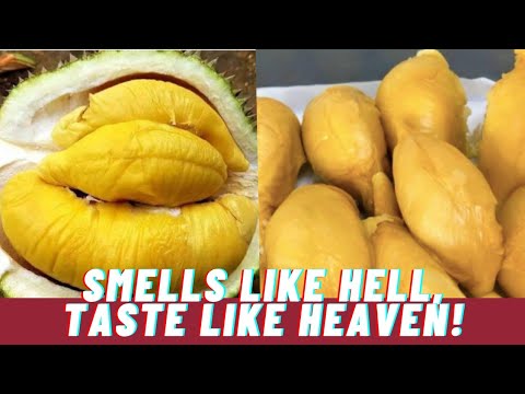 YUMMY DURIAN -Smells like hell,Taste like HEAVEN!