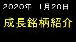 【株式投資】2020年 1月 20日 成長銘柄を厳選２銘柄紹介