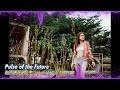 Pulse of the Future Vol.01 | Full Album by Z.S.R | Synthwave • Electro Pop • Future Chill