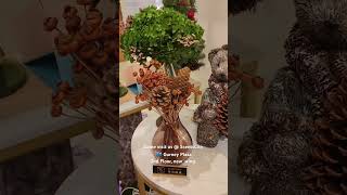 #penang #槟城 #Christmas2024 #essentialoils #malaysia #aromatherapy #ペナン #gurneyplaza