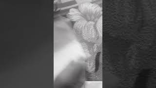 First semester botany  MDC