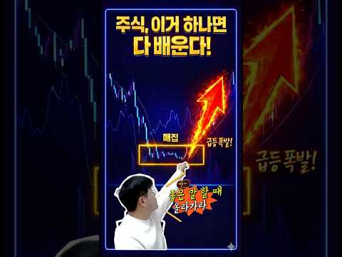 📈 주식 차트의 본질, '블록' 하나로 이해하는 매수 타점