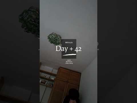 2025 Spain : Day + 42