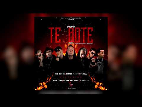 Te Bote (Remix) Ft. Anuel AA, Ozuna, Bad Bunny, Casper Magico, Darell, Nio Garcia, Nicky Jam