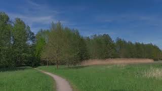 Herrnhuter Losung: Montag, der 28.04.2025