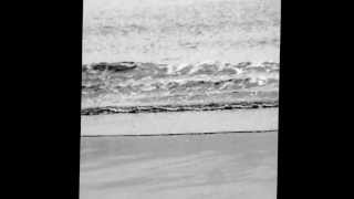 Donna Lea - Voodoo Dolls.avi