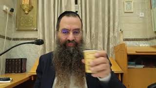 הרב עובדיה יוסף | פרשת השבוע | לך לך כבוד הורים ויציאה מארץ ישראל (הרב עובדיה יוסף (הנכד)) - התמונה מוצגת ישירות מתוך אתר האינטרנט יוטיוב. זכויות היוצרים בתמונה שייכות ליוצרה. קישור קרדיט למקור התוכן נמצא בתוך דף הסרטון