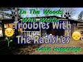 Why Won't The Radishes Grow???? Troubles In The Forest Garden
