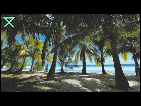 🌴 Tropical Island Ambience | Kalimba Music and Relaxing Beach Sounds